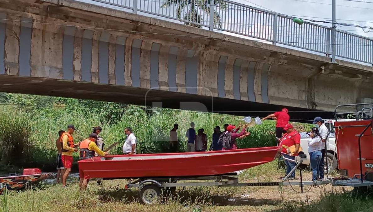 ¡Crece el río Ulúa! Municipios del valle de Sula encienden las alarmas ante amenaza de inundaciones