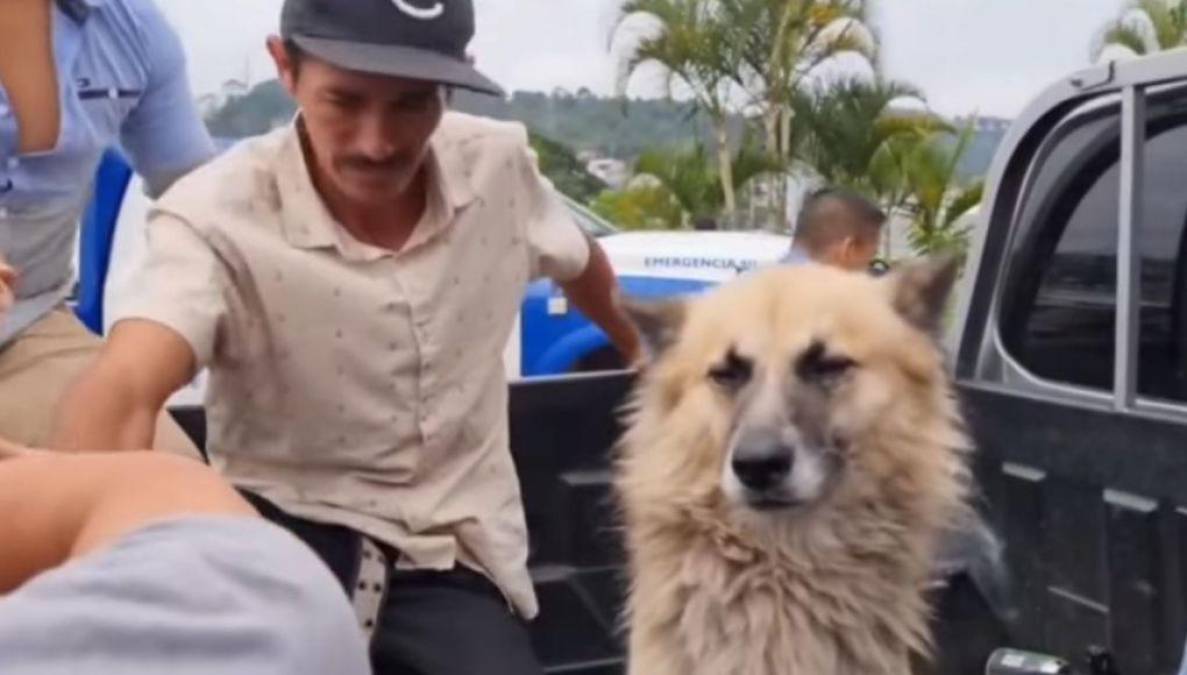 Perrito se va en una patrulla con su amo recién capturado en Copán, Honduras (FOTOS)