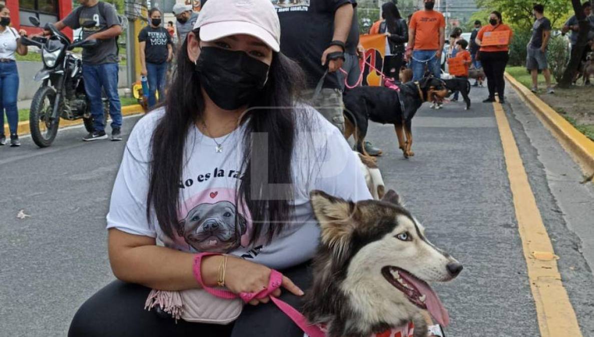 Esta actividad organizada por clubes de pitbulls, academias de entrenamiento, veterinarias y tiendas de mascotas, tiene como lema “no es la raza sino la crianza”.