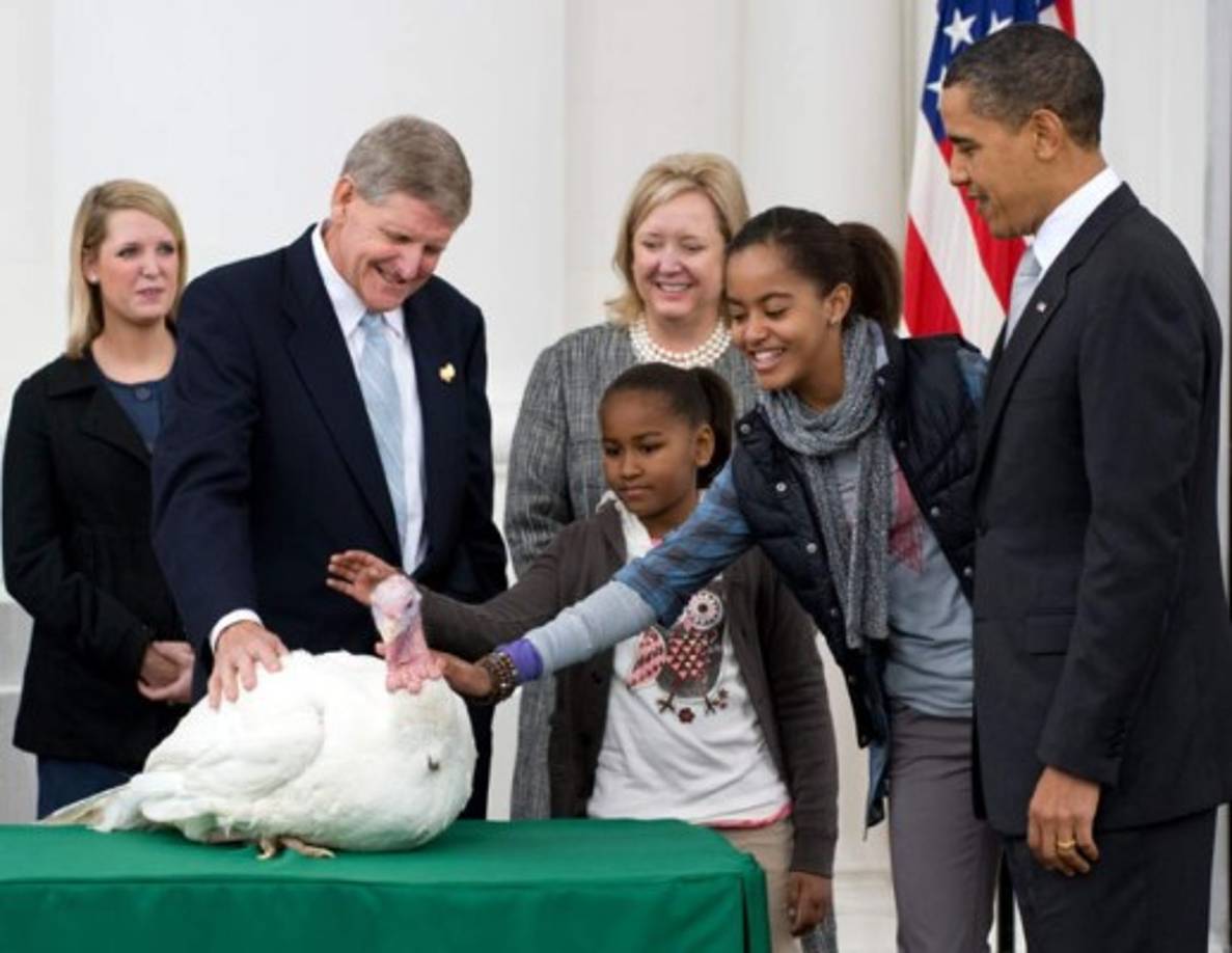 Sasha lucía un poco tímida durante la primera ceremonia de 'perdón del pavo' dirigida por Obama en Acción de Gracias.