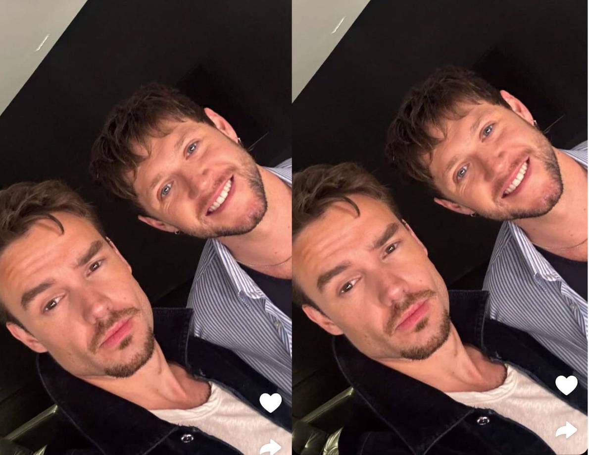 Según medios argentinos, el cantante británico se encontraba en Argentina para asistir al concierto de su excompañero de banda, Niall Horan, quien estáde gira en Sudamérica promocionando su álbum “The Show”.