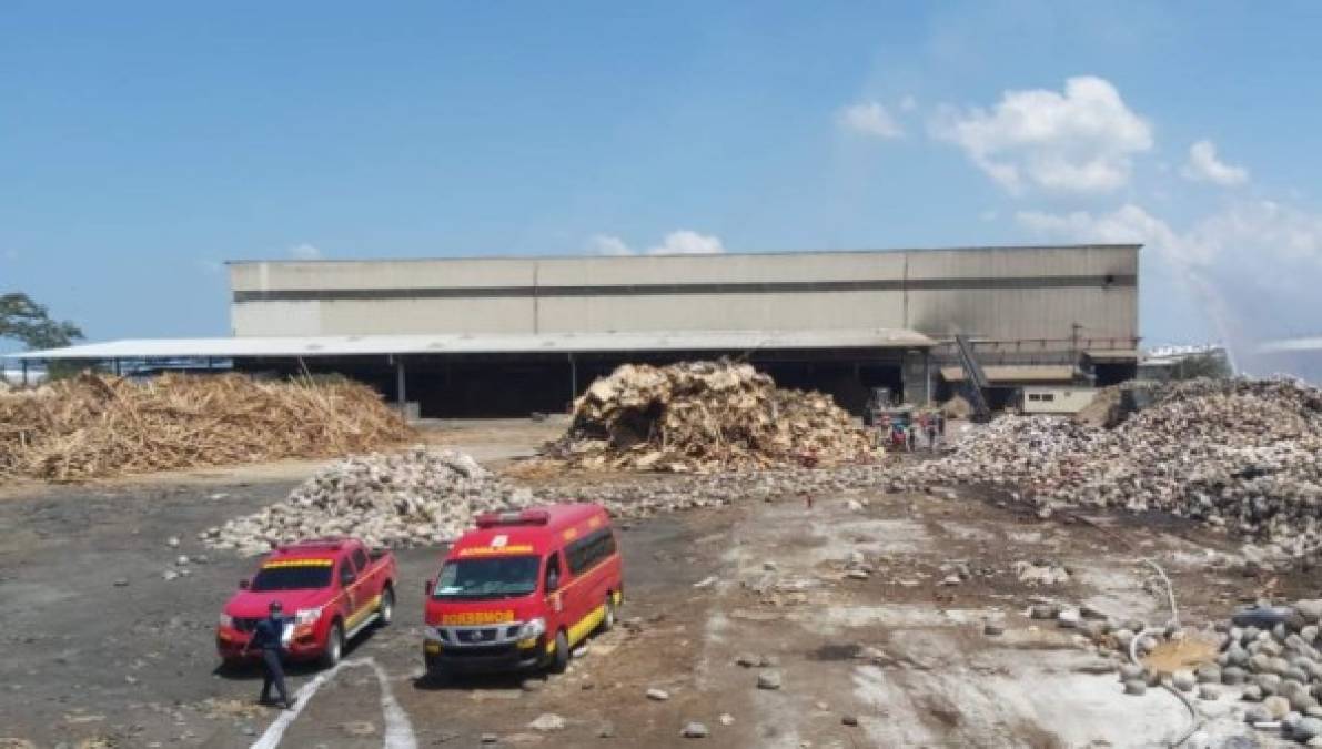 La hipótesis sobre la causa del incendio, hasta el momento, son las altas temperaturas registradas en esta zona del país. <br/>