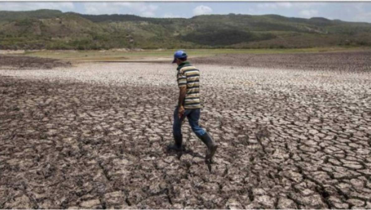 Sequía en Honduras: cultivos perdidos y fuentes de agua a punto de desaparecer