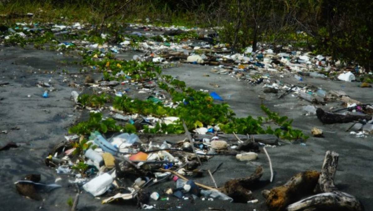 El plástico es una amenaza real para el Sistema Arrecifal Mesoamericano (el arrecife transfronterizo más grande del mundo, de acuerdo con WWF).