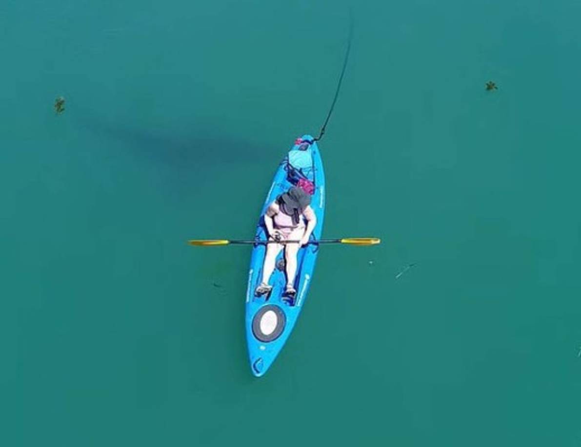 Varios tiburones fueron avistados en un radio de cinco kilómetros del lugar del ataque en el que murió Kelly.