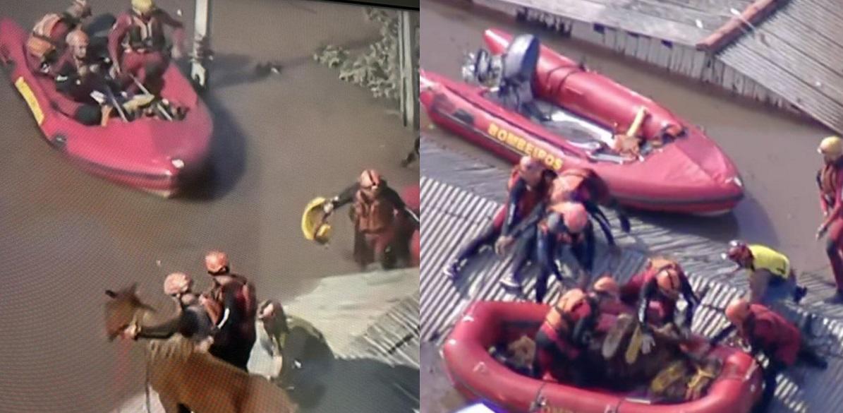 Rescatan al caballo atrapado en un techo tras las devastadoras inundaciones en Brasil