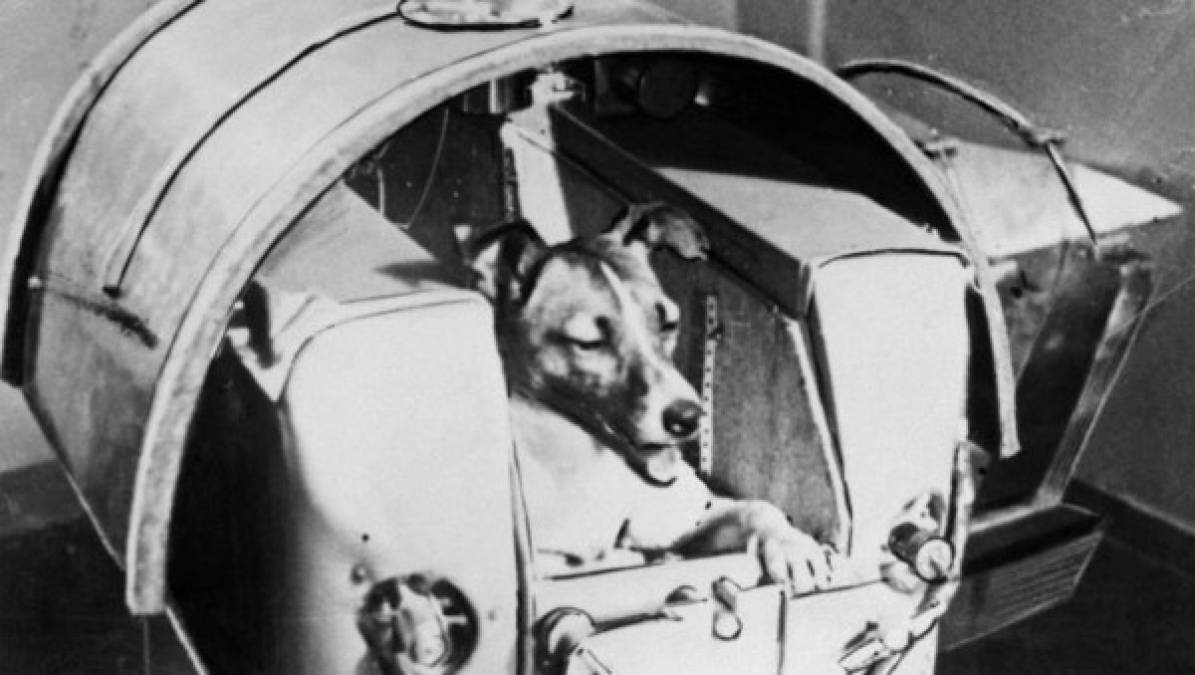El 3 de noviembre, Spuntik-2 partió hacia el espacio con el primer ser vivo a bordo, la perra Laika, en un viaje sin retorno.
