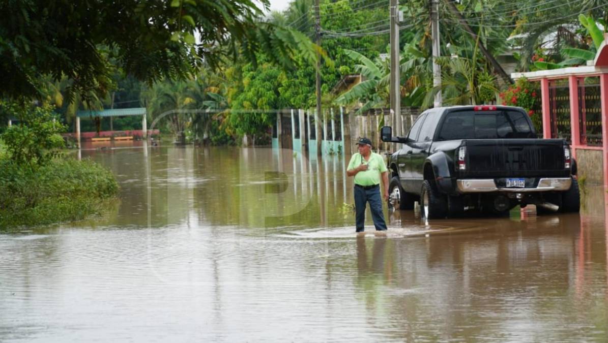 Inundados quedan excampos bananeros tras desbordar el Ulúa