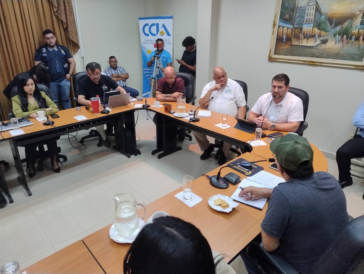 Pedirán auxilio al Gobierno para dragar el muelle ceibeño