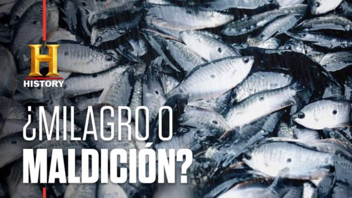 Portada del documental de History Channel sobre la lluvia de peces en Honduras.