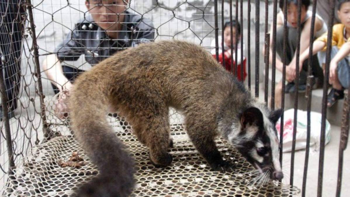 China revela lista de animales que permitirá para el consumo humano por la pandemia del coronavirus
