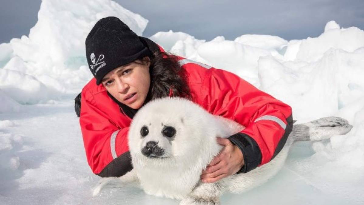 Michelle Rodriguez se unió a los activistas de Sea Shepherd en 2010, en una misión bastante peligrosa para frenar la caza de ballenas, este año volvió para a trabajar junto a ellos en 'Operation Ice Watch' para concienciar sobre el calentamiento global y sus efectos en el ecosistema en el golfo de St. Lawrence en Canadá.<br/>