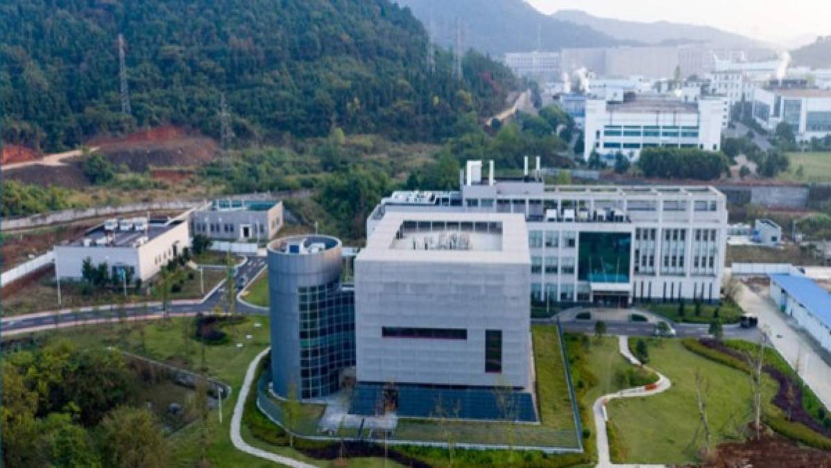 Sin embargo, un grupo de científicos desmintió las revelaciones de medios británicos afirmando que el coronavirus es un virus de origen animal no sintético y que por ende no fue creado en el laboratorio de Wuhan.