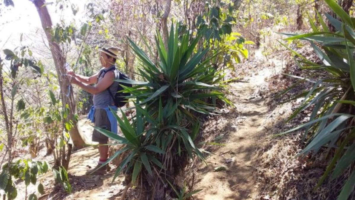 La búsqueda a cargo de uniformados, operadores turísticos y comunitarios se extendió por zonas boscosas y senderos de cerros y los tres volcanes que rodean el lago, además de una decena de poblados asentados en la ribera.