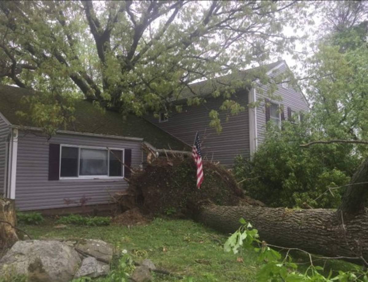 El gobernador de Nueva York, Andrew M. Cuomo, declaró el estado de emergencia en cuatro condados y desplegó un centenar de militares de la Guardia Nacional para ayudar en las tareas de rescate y recuperación.