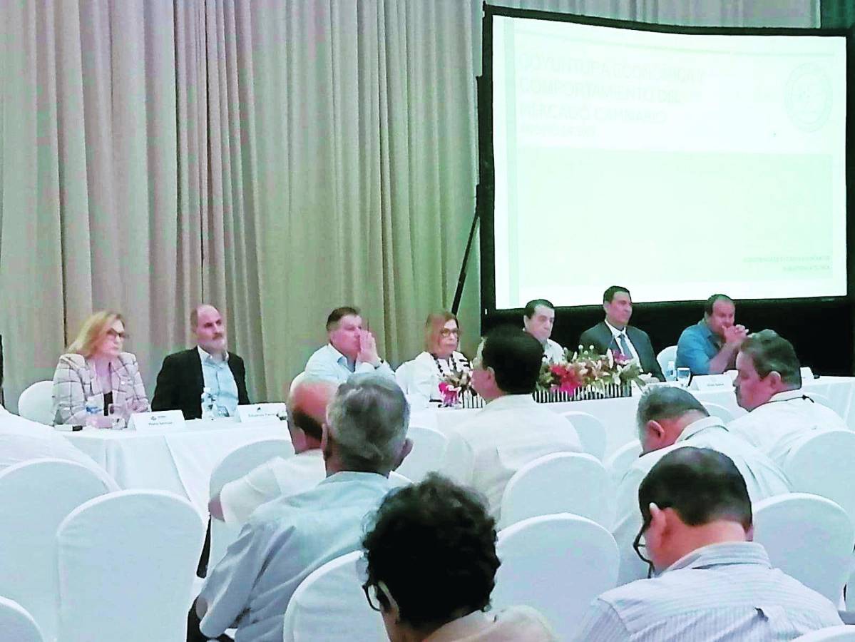 Empresarios del Cohep reunidos con la presidenta del BCH, Rebeca Santos, y con el presidente de Ahiba, Manuel Bueso.