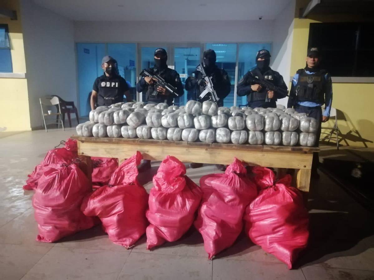 Decomisan 1,500 libras de marihuana en Catacamas, Olancho