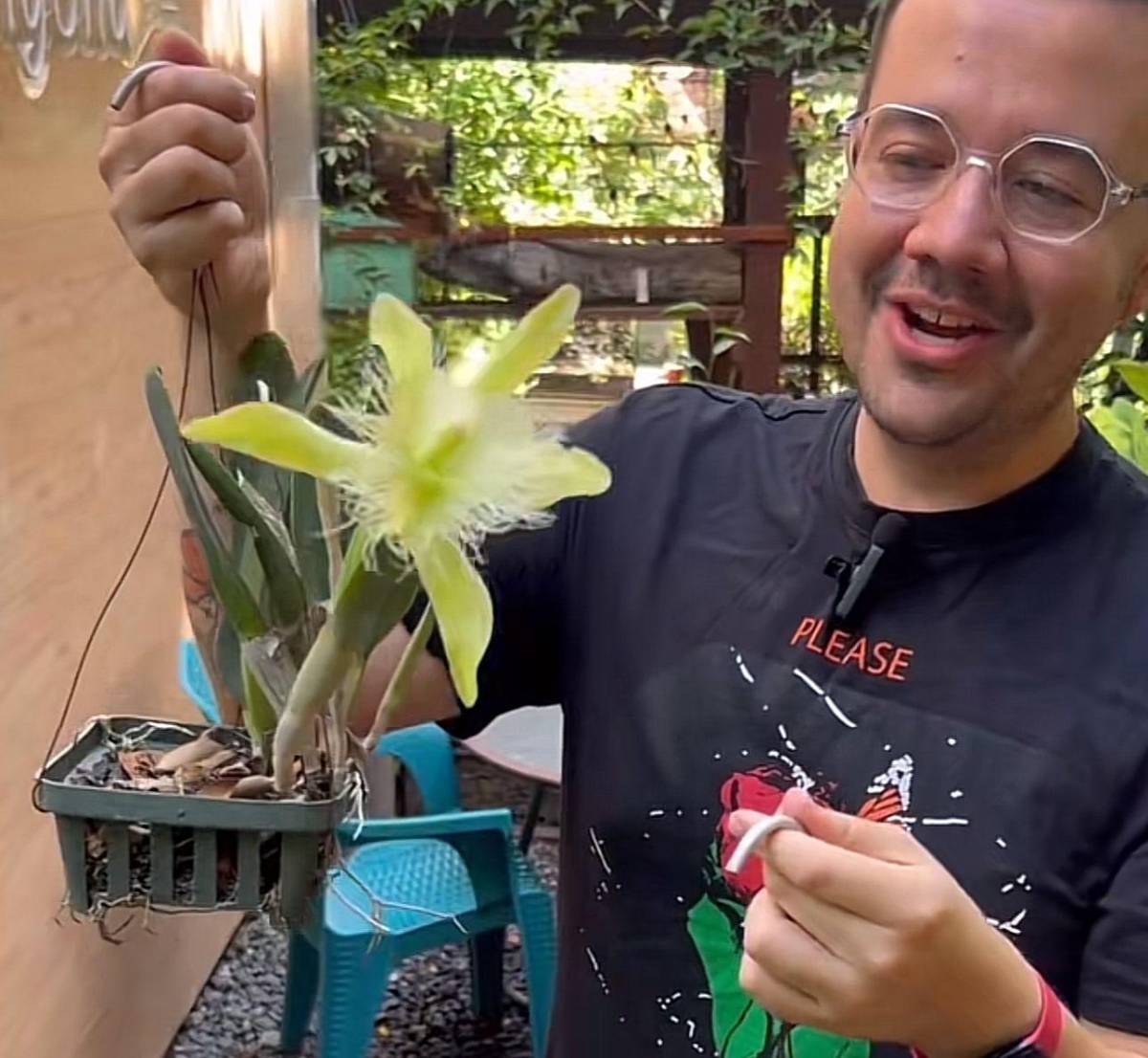 Dos orquídeas florecieron este mes de septiembre y hondureño invita a conocerlas