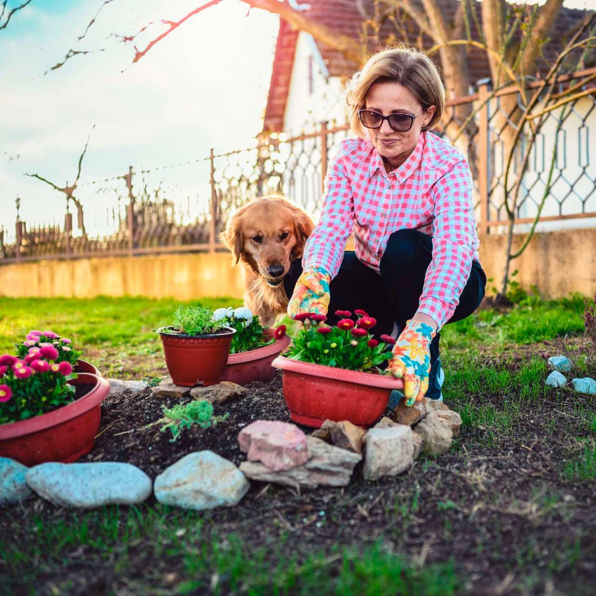 Salva tu jardín de la sequía de esta temporada