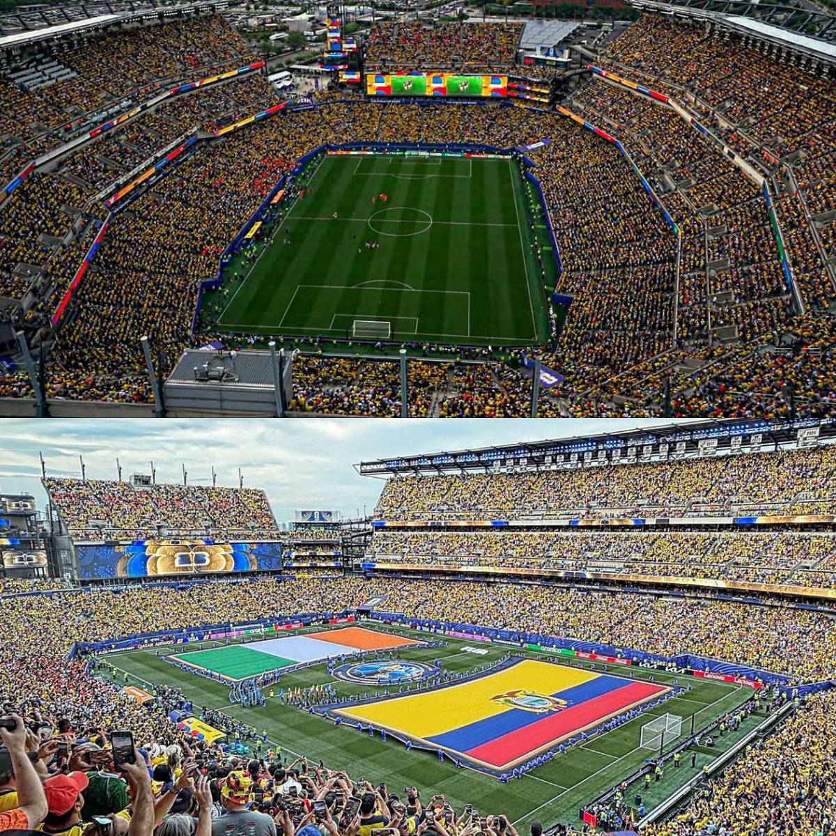 Héroe de Costa de Marfil, tristeza de Ecuador y afición, de la fiesta al drama en el Mundial