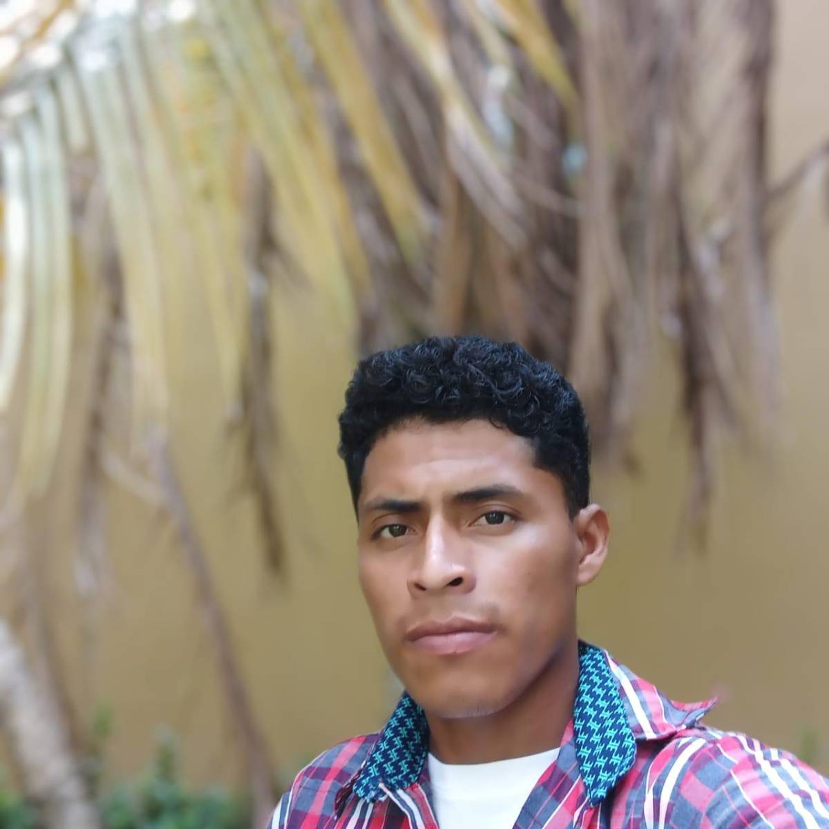 Así fue el asesinato del guardia de seguridad en negocio de La Ceiba