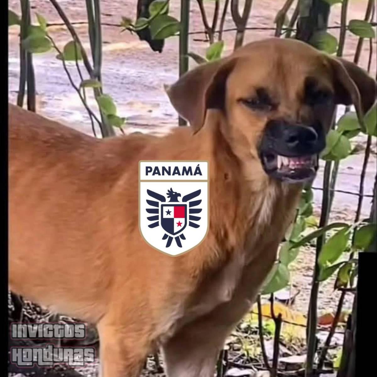 Memes destrozan a Panamá tras ser eliminados por Honduras en Copa Oro 2025