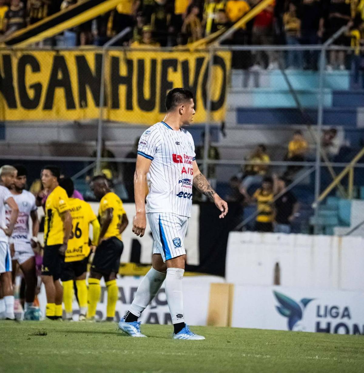 Real España festeja en el Morazán, fiesta de Platense y la chica más sexy cautiva