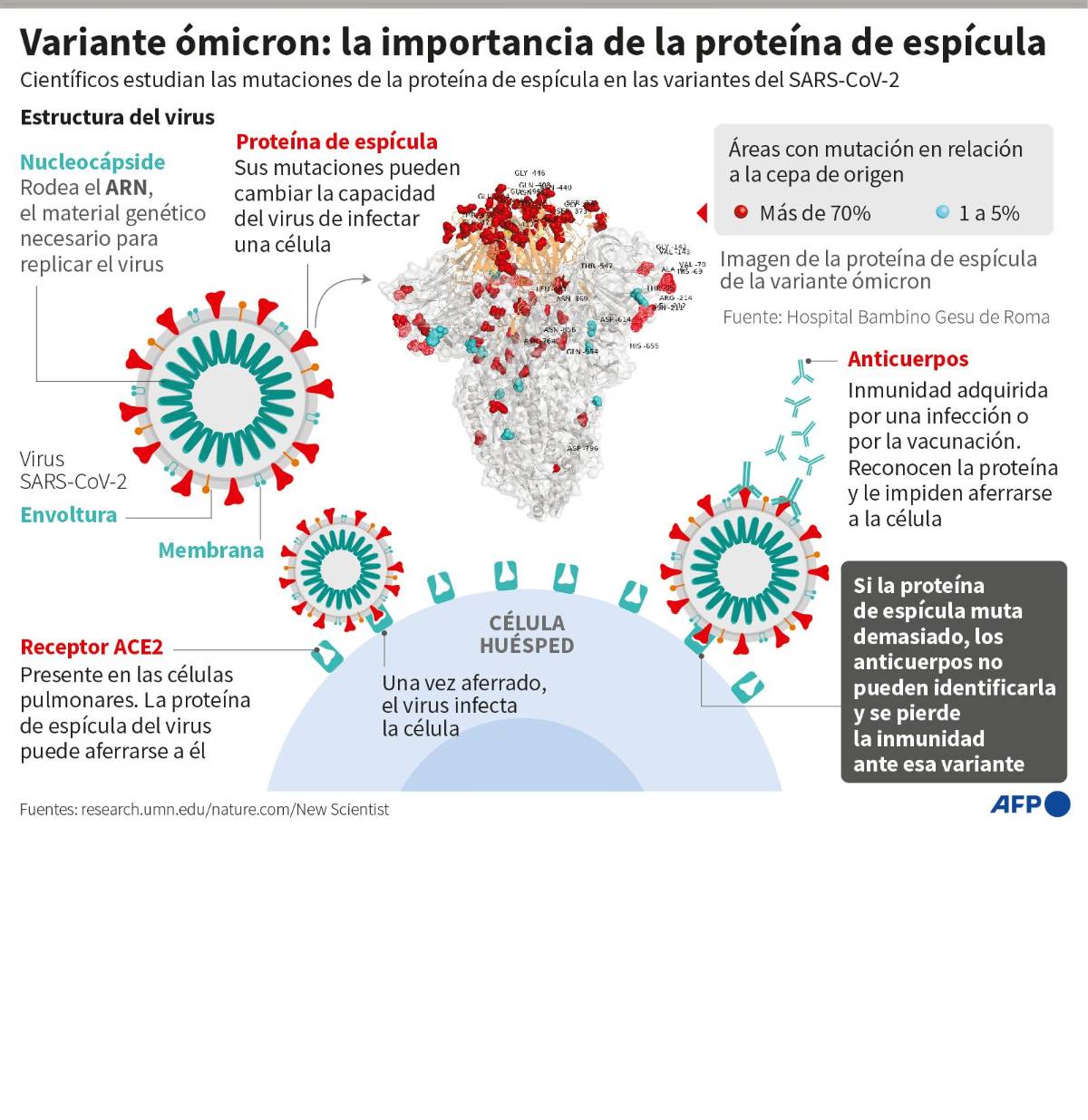 Emiten vigilancia a viajeros que vengan de Sudáfrica por temor a la ómicron