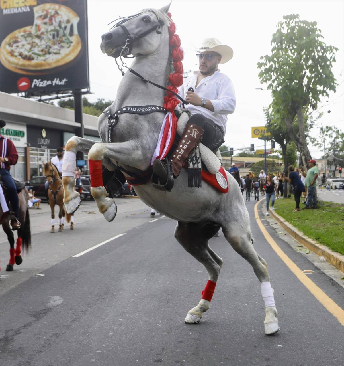 Ambiente, color y tradición: así luce el desfile hípico en San Pedro Sula