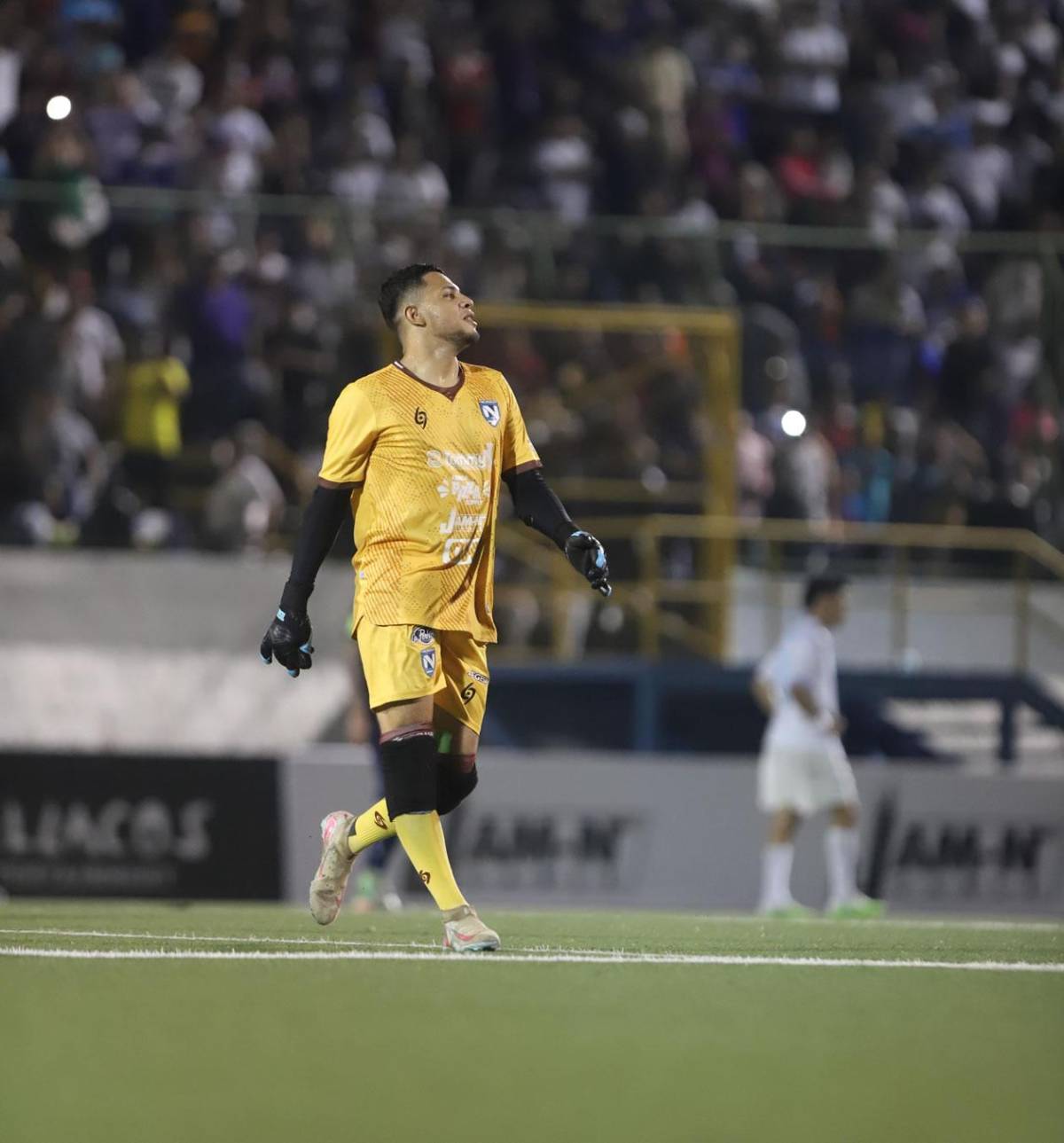 Tiktokers de Honduras con festejo alocado, agresión a Supremo y la bronca en Nicaragua