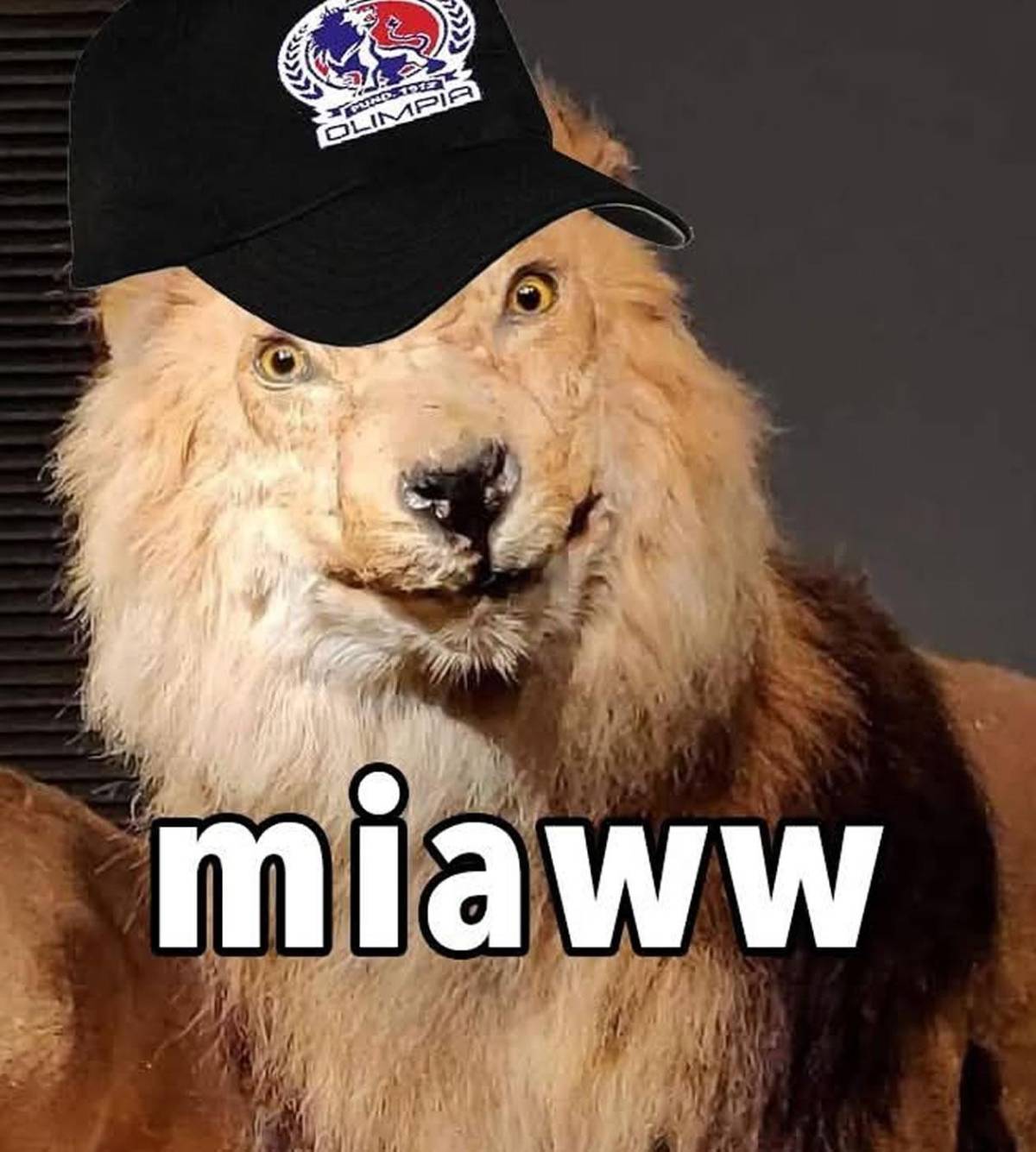 Los memes destrozan a Olimpia tras ser eliminado por Alajuelense y quedarse sin final de Copa