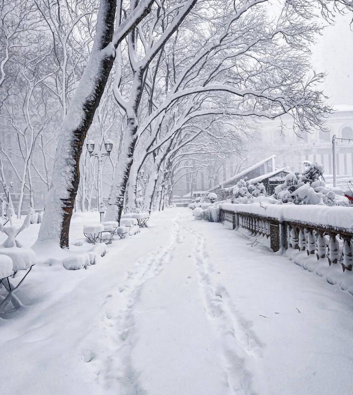 Nueva York pagará hasta $45 por hora por retirar nieve: requisitos y cómo aplicar