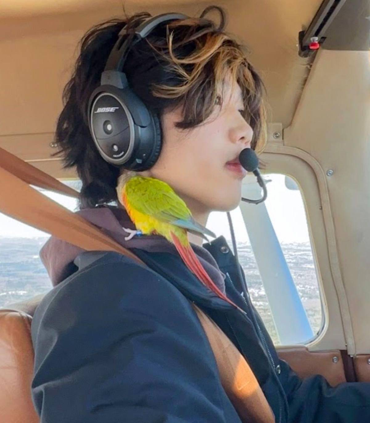 Influencer estadounidense queda varado en la Antártida tras aterrizar sin autorización