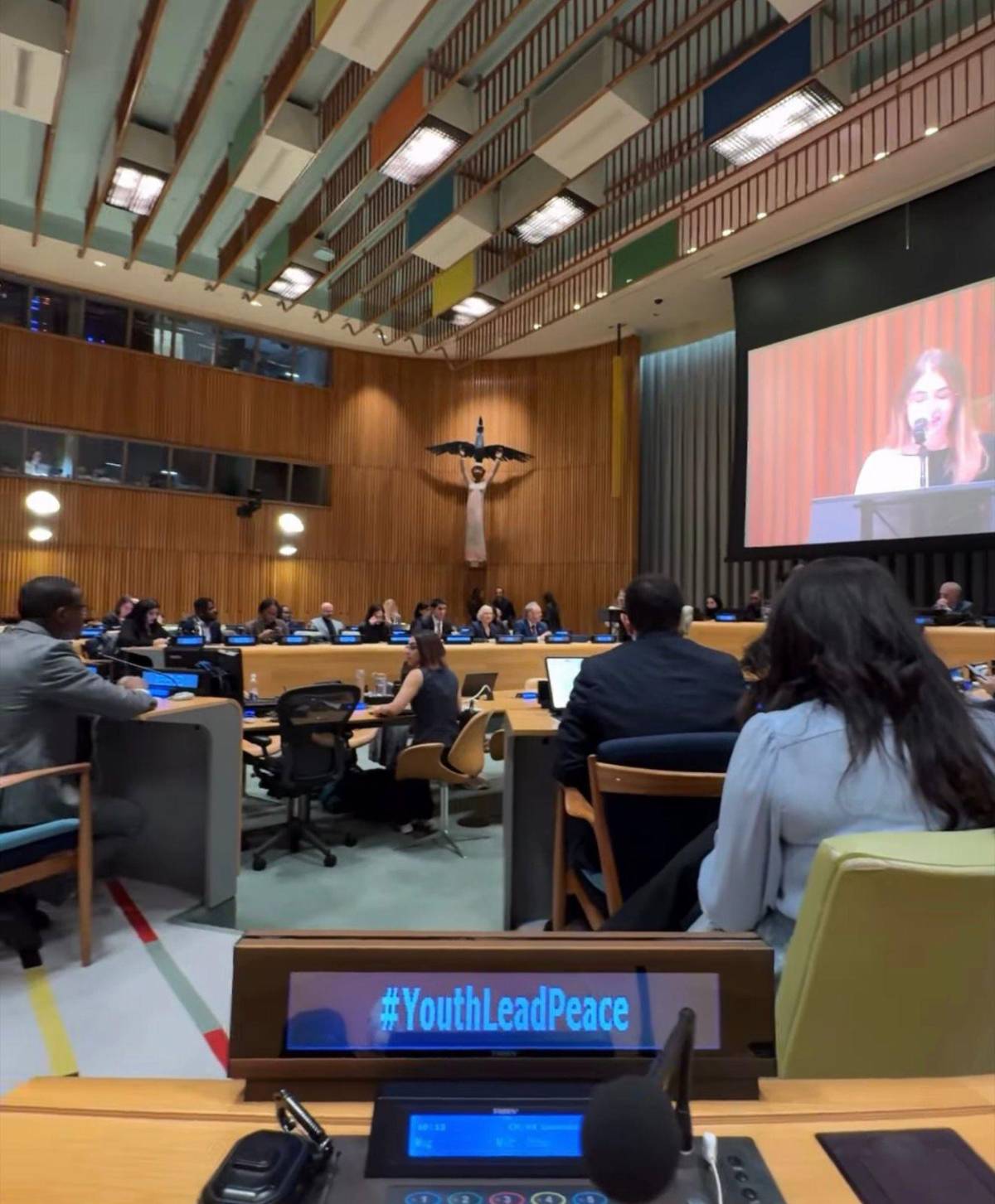 Hondureño participa en el 10.º aniversario de la Resolución 2250 del Consejo de Seguridad de la ONU