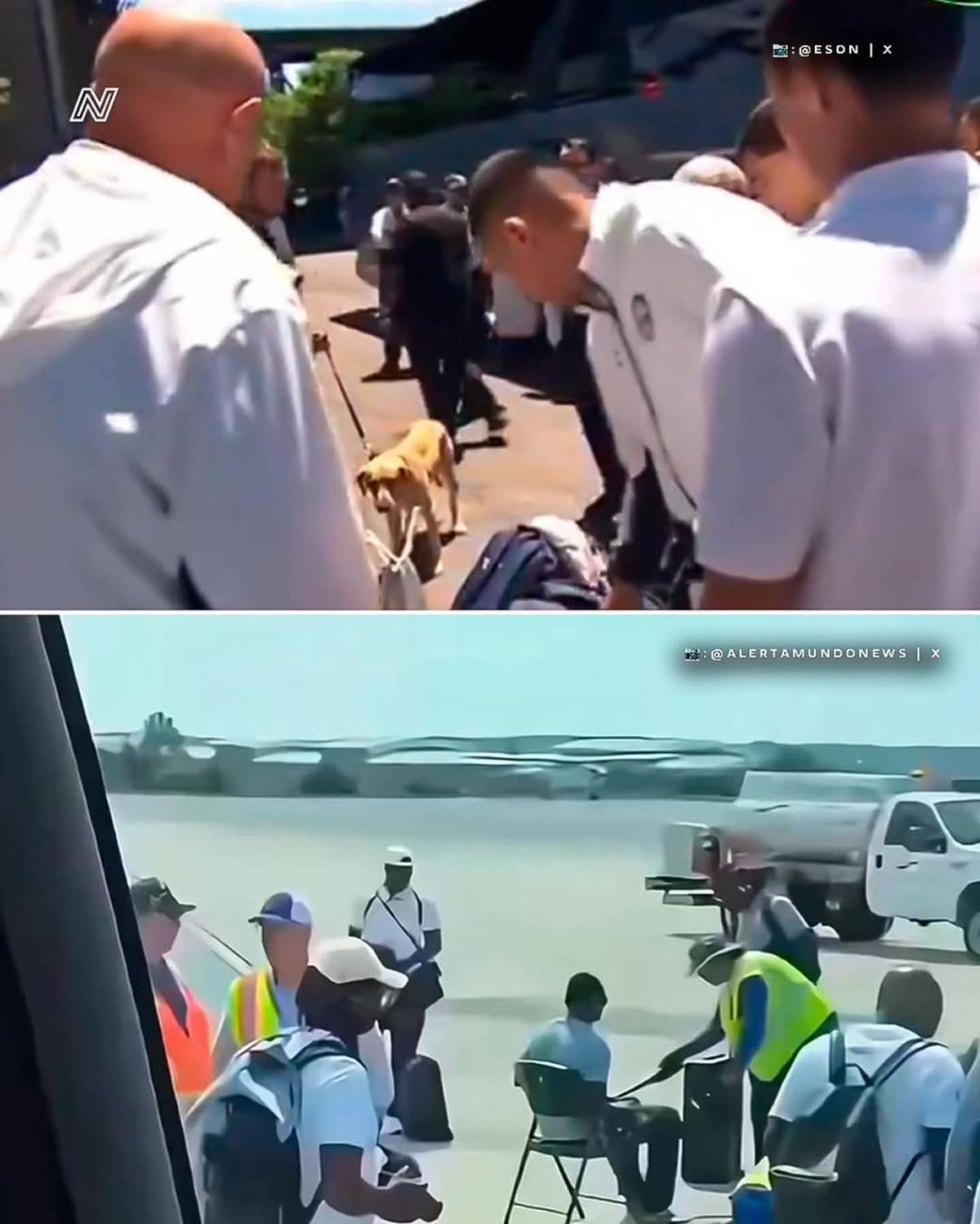 Como criminales: EEUU recibe con cacheos y perros rastreadores a selecciones del Mundial