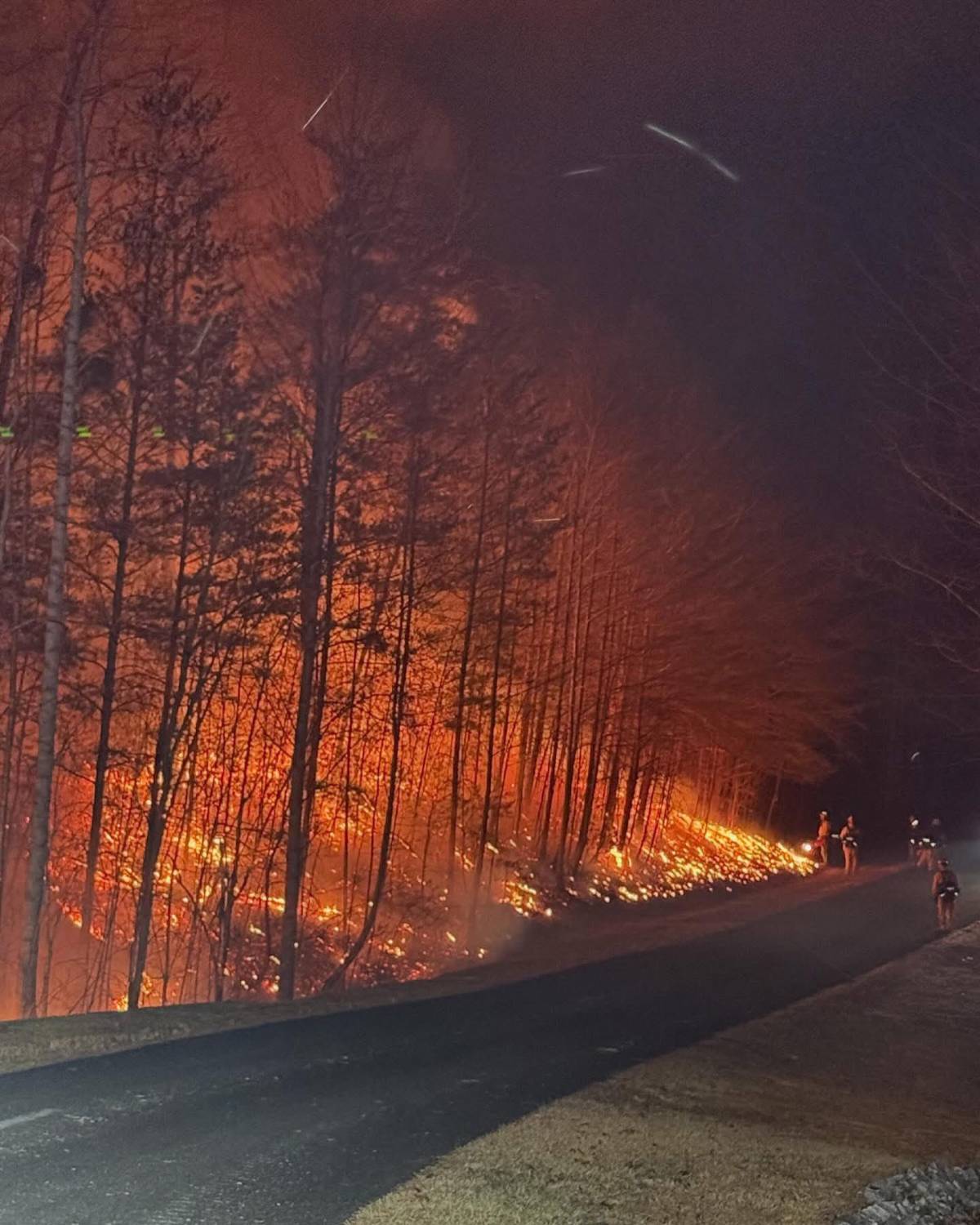 Estado de emergencia en las Carolinas por devastadores incendios