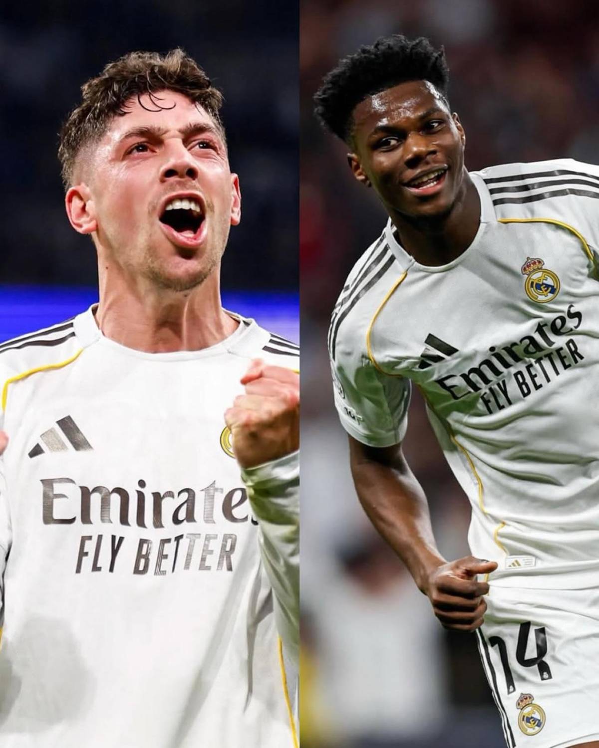 Valverde acaba en el hospital tras nueva pelea con Tchouaméni: Real Madrid toma decisión