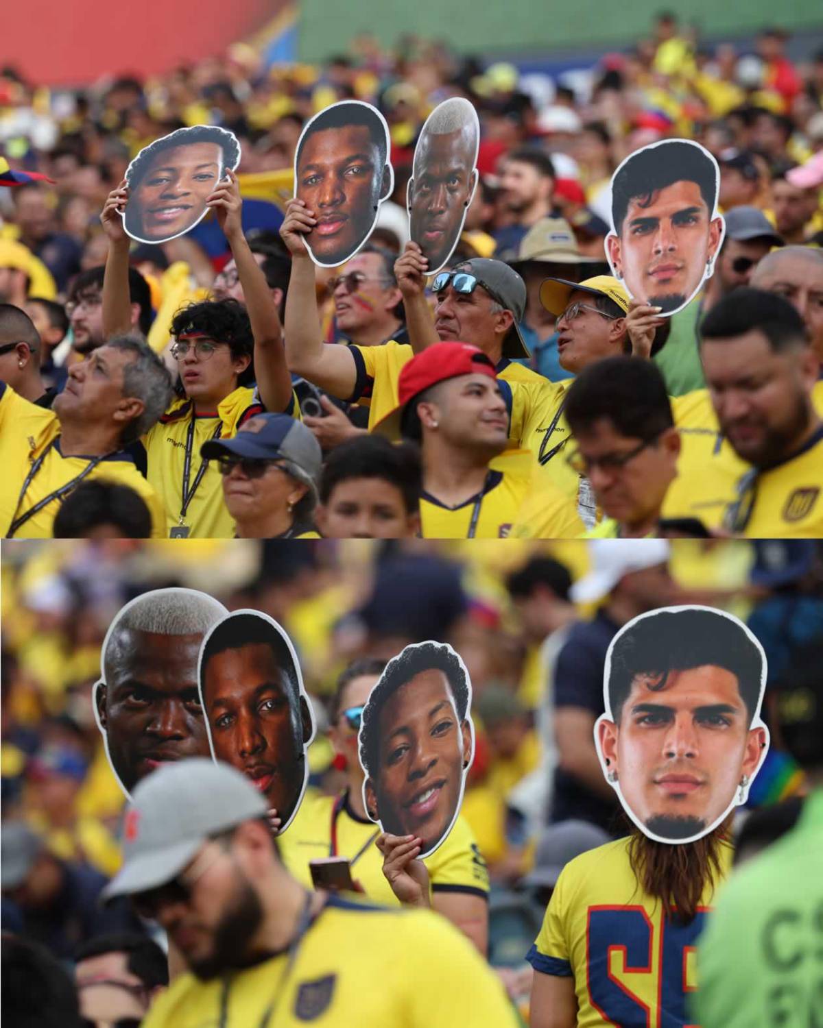Héroe de Costa de Marfil, tristeza de Ecuador y afición, de la fiesta al drama en el Mundial