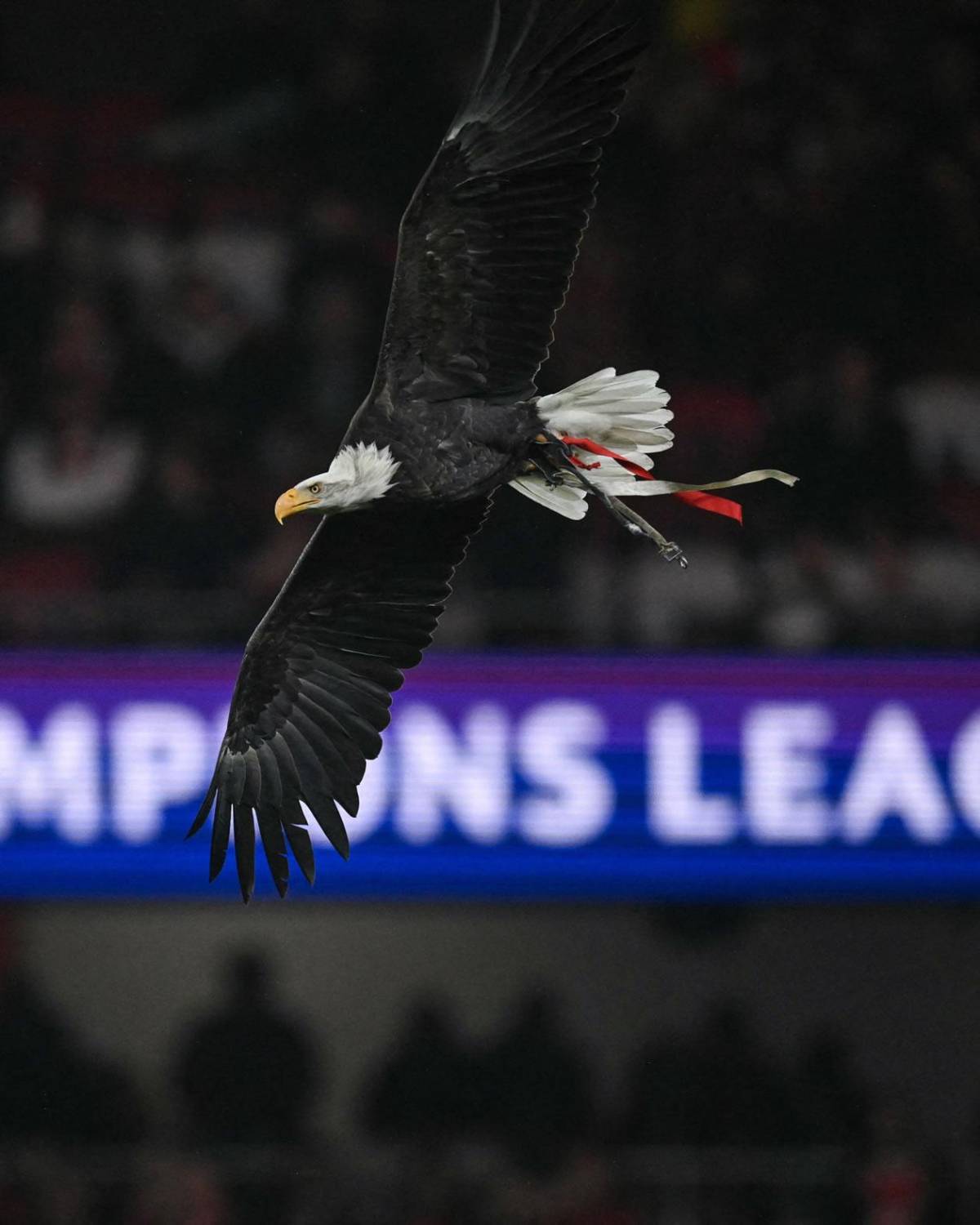 El héroe del Barcelona, reclamo de Lamine a Lewandowski y un incidente