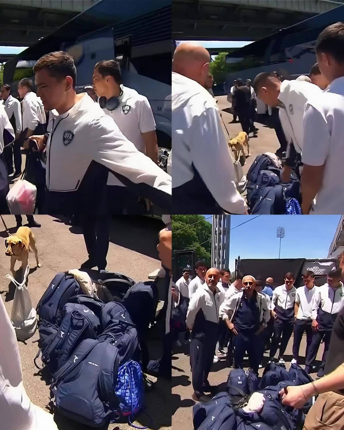 Como criminales: EEUU recibe con cacheos y perros rastreadores a selecciones del Mundial