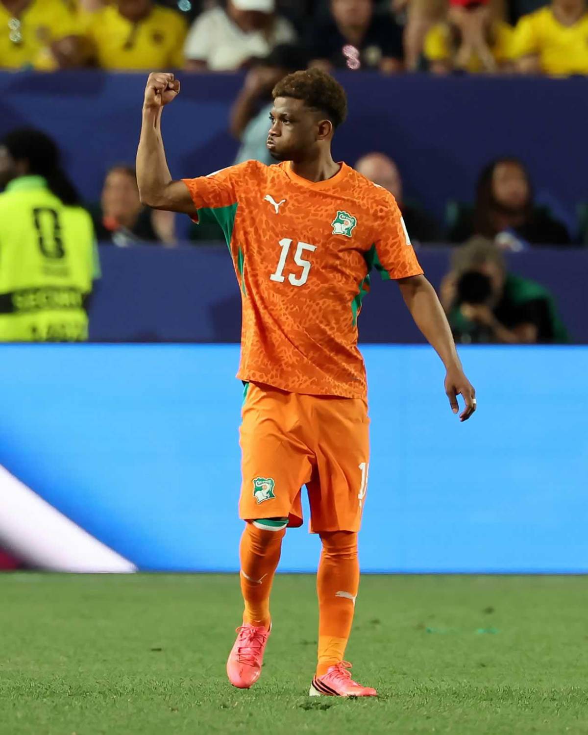 Héroe de Costa de Marfil, tristeza de Ecuador y afición, de la fiesta al drama en el Mundial