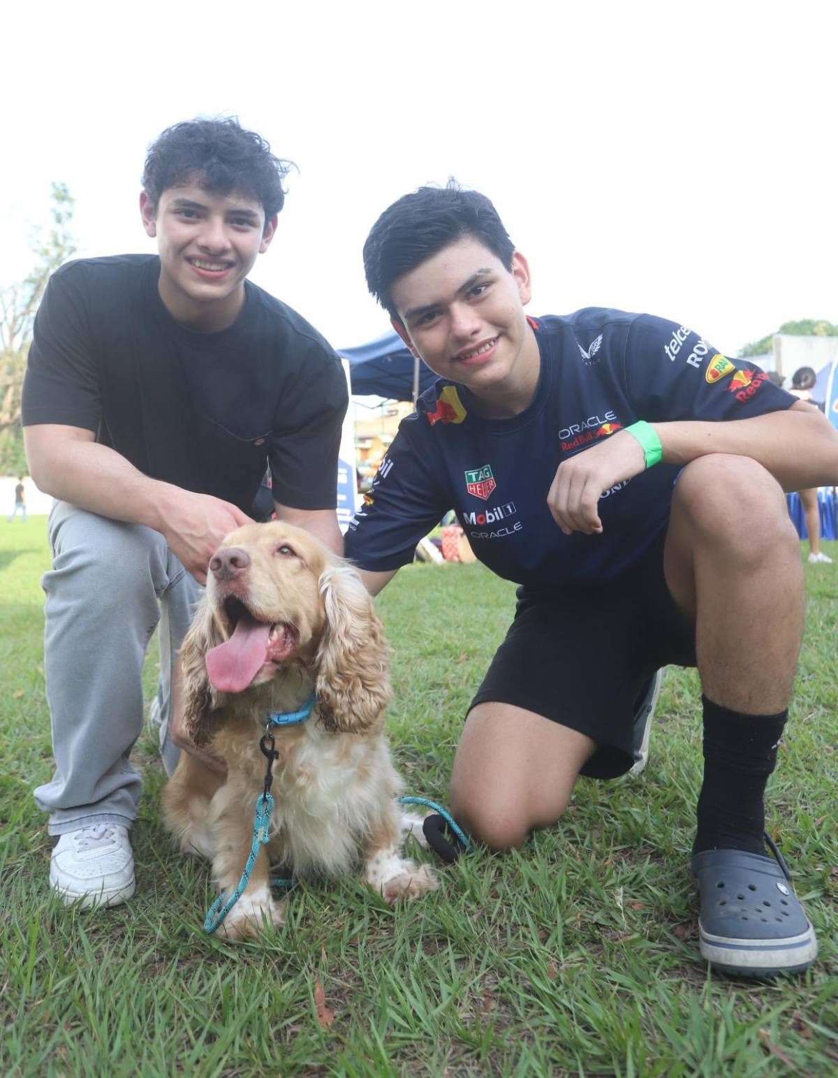 Feria del animalito en la New Horizon, por su 30 aniversario