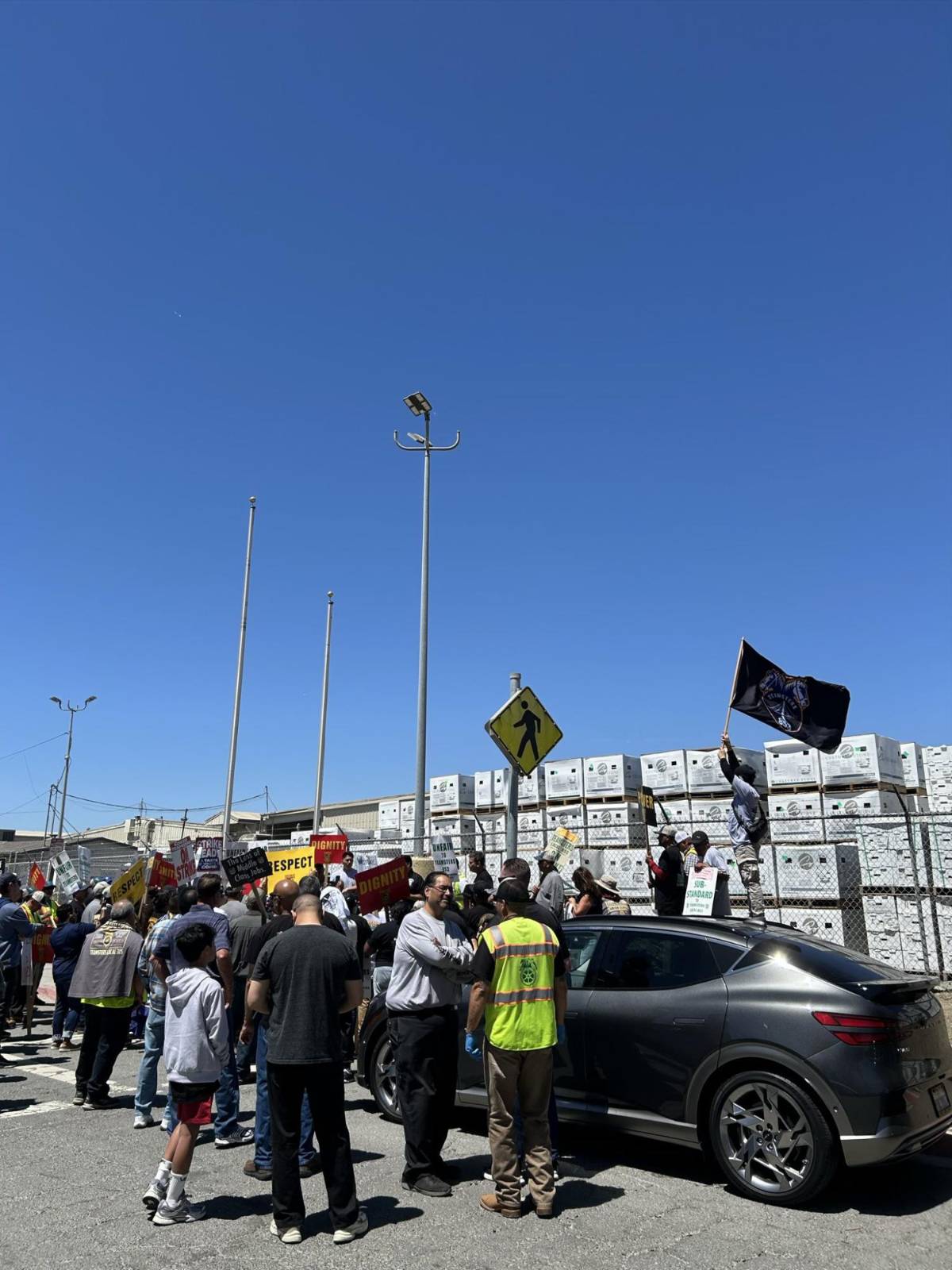 'Caballo de Troya': Agentes de ICE se esconden en camión para sorprender a migrantes