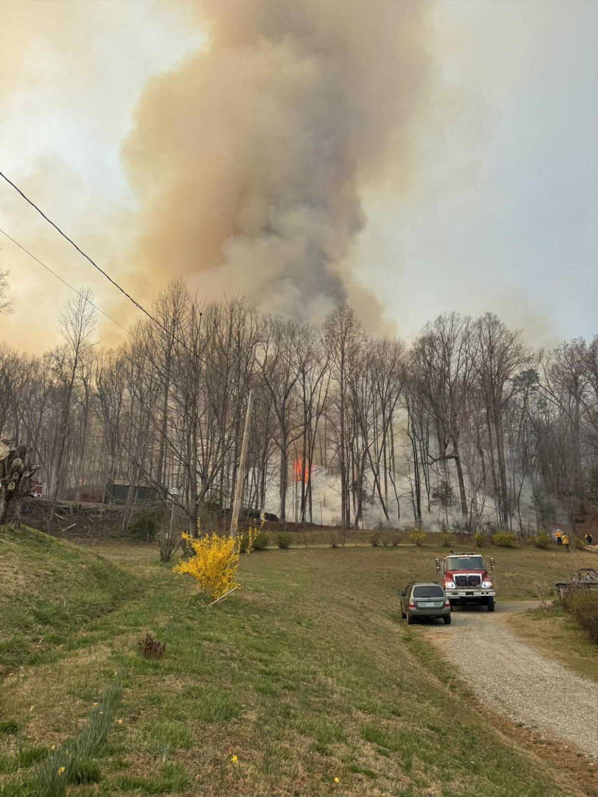 Estado de emergencia en las Carolinas por devastadores incendios