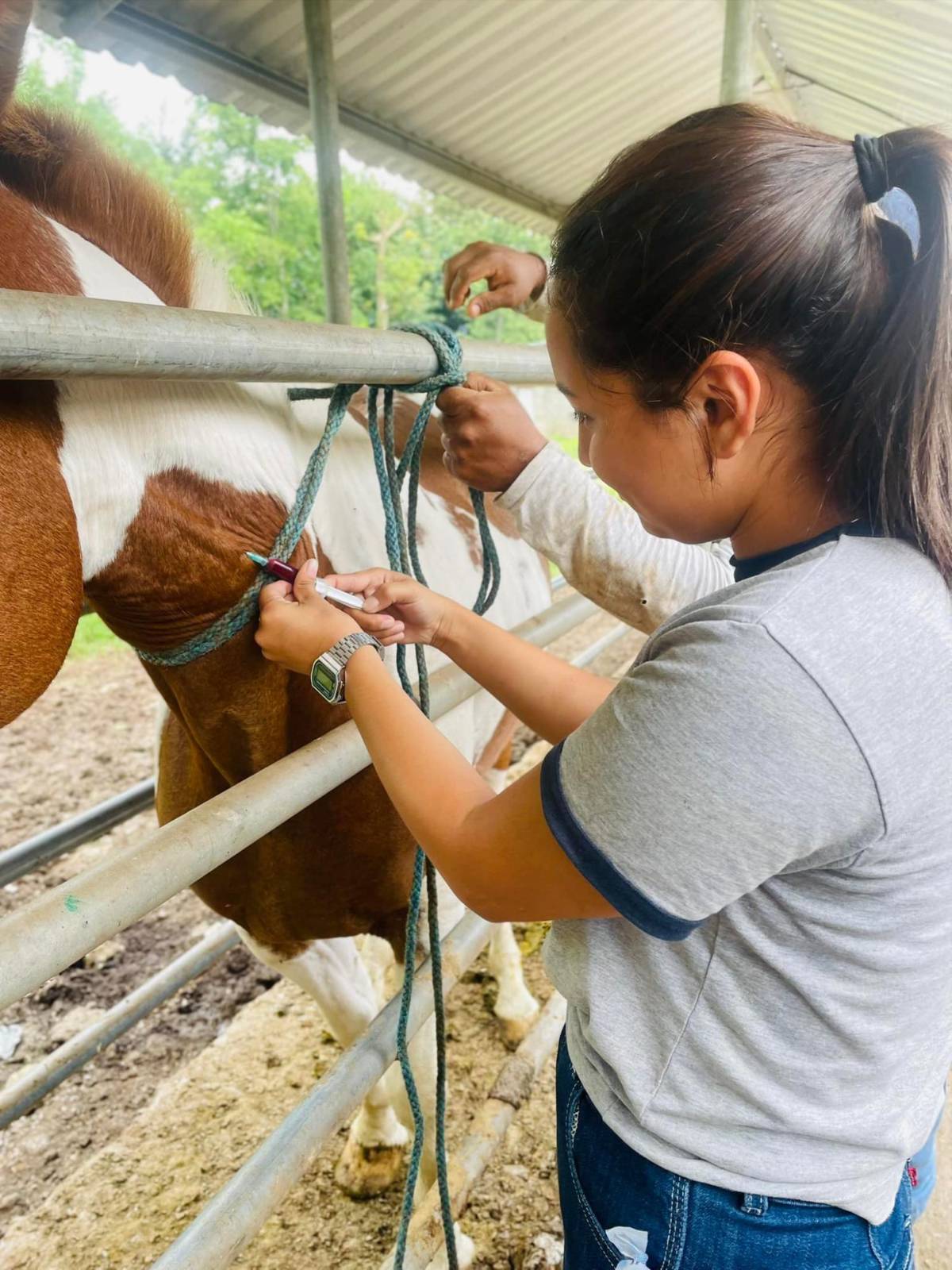 Ingenieros fueron dormidos con un jugo antes de ser degollados