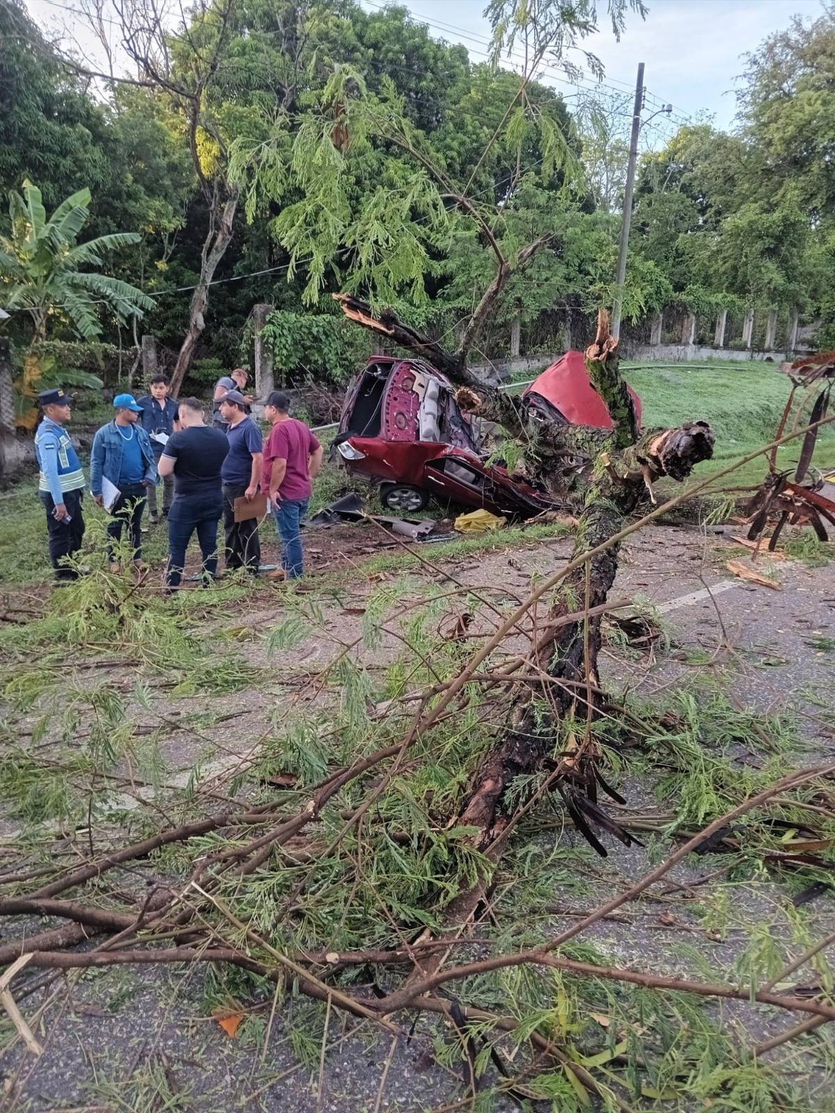 Carro se partió en dos: muere Álvaro Somarriba en la recta de Yojoa