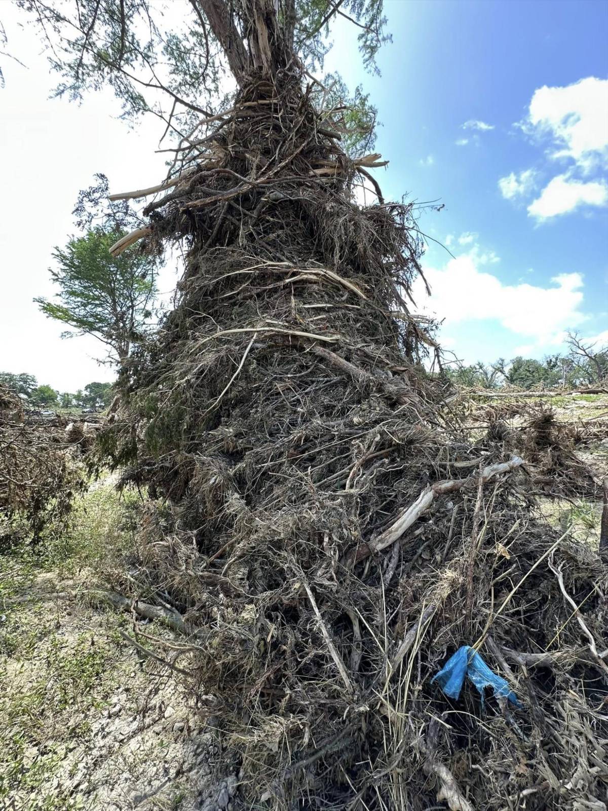 Recuperan cuerpo de Katherine Ferruzzo; murió salvando vidas en inundaciones de Texas