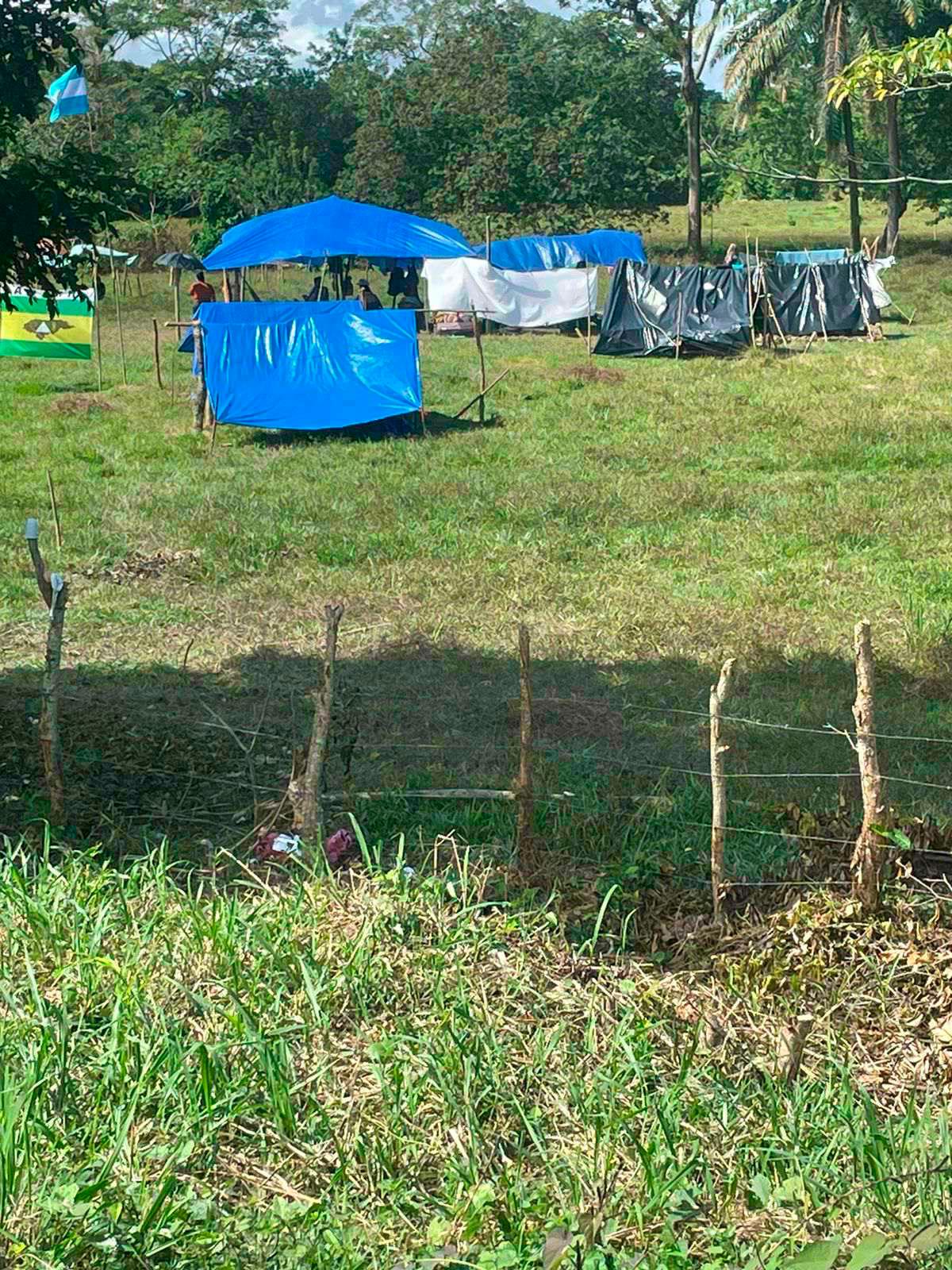 Campesinos extienden invasiones en fincas de palma hasta Atlántida