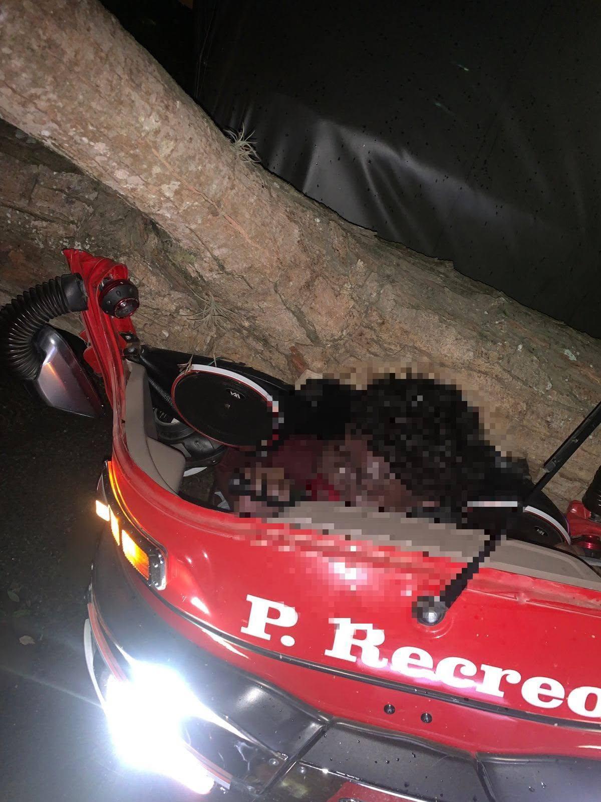 Cristhian iba a convertirse en padre; murió aplastado por árbol en Cofradía