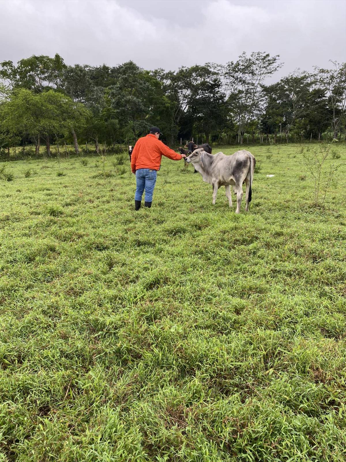 Sicarios lo esperaron frente a su casa: el crimen del juez Kevin Martínez
